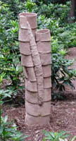 regeneratie / regeneration II